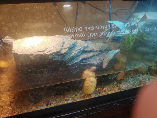 Pet Store «Wildside Pets», reviews and photos, 1042 N Higley Rd #105, Mesa, AZ 85205, USA