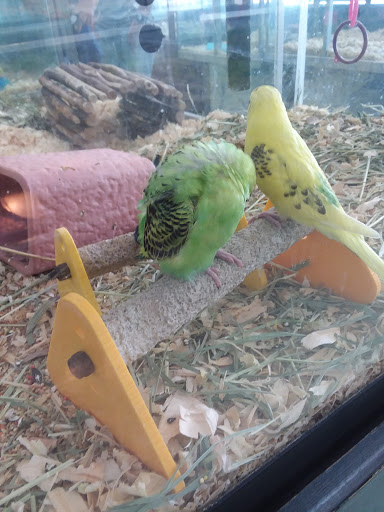 Pet Store «Wet Pets N Critters», reviews and photos, 103 TX-281 Loop, Longview, TX 75605, USA