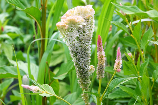 Farm «Langwater Farm», reviews and photos, 209 Washington St, North Easton, MA 02356, USA