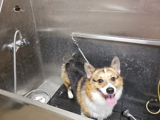 Pet Supply Store «Pet Supplies Plus», reviews and photos, 1704 Greenville Ave, Dallas, TX 75206, USA