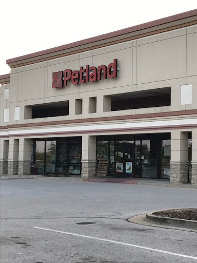 Pet Supply Store «Petland St. Louis», reviews and photos, 6131 Ronald Reagan Dr, Lake St Louis, MO 63367, USA