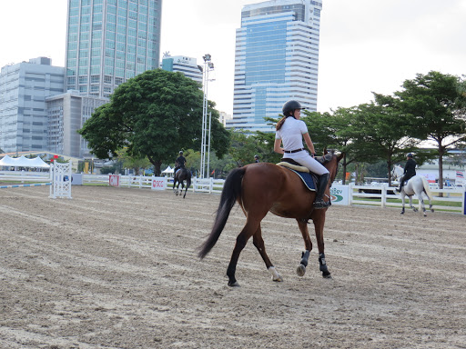 The Royal Horse guard riding club