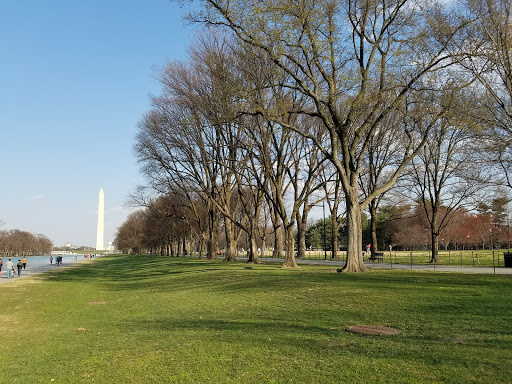 Monument «Lincoln Memorial», reviews and photos, 2 Lincoln Memorial Cir NW, Washington, DC 20037, USA