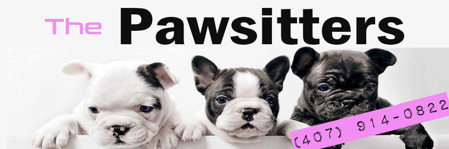 The Pawsitters