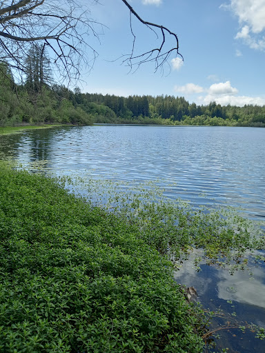 Riverfront Regional Park image
