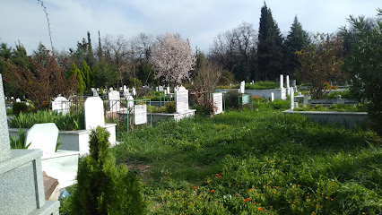 Hamitler Köy Mezarlığı