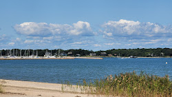 Havens Beach'in fotoğrafı vahşi alan