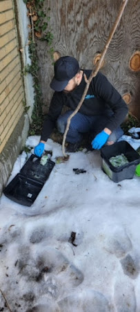 Gam Exterminating Buffalo NY Inc - Photo 3 - Car repair in East Amherst, NY, Buffalo