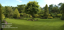 Robertos Landscaping - Photo 5 - Car repair in , Metairie