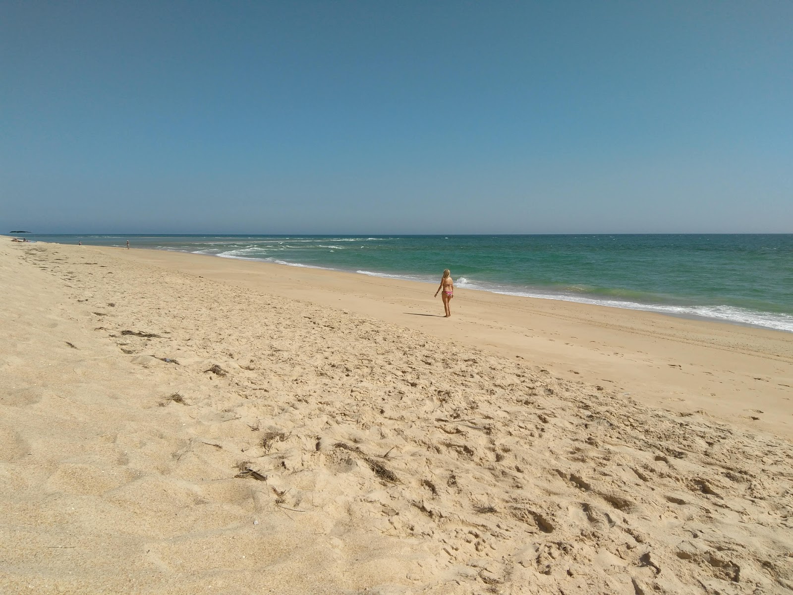 Photo de Praia da Barrinha situé dans une zone naturelle