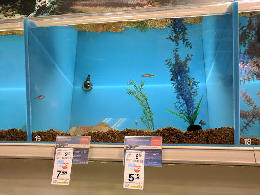 Pet Supply Store «PetSmart», reviews and photos, 1238 Putty Hill Ave, Towson, MD 21286, USA