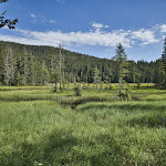 Photo n°6 de l'avis de h.e fait le 30/07/2020 à 18:43 sur le  Arberseehaus à Bayerisch Eisenstein