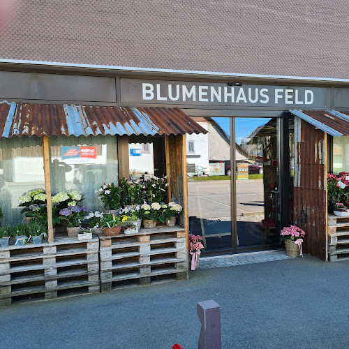 Blumenhaus Feld