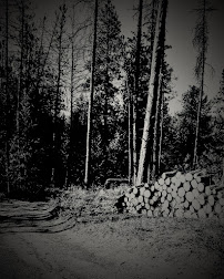 Tree & Landscape Services LLC - Photo 9 - Car repair in , Coeur d'Alene