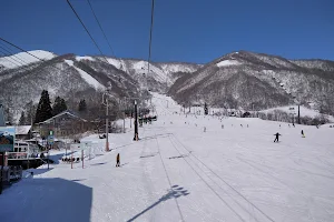 Hakuba Goryu Snow Resort image