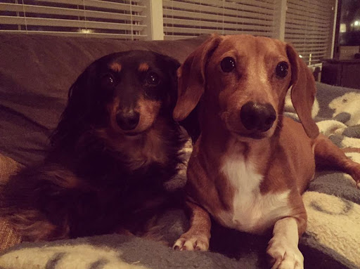 Employment Agency «Express Employment Professionals - Gresham, OR», reviews and photos, 120 NW Burnside Rd, Gresham, OR 97030, USA