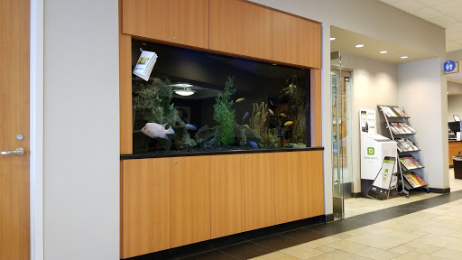 Honda Dealer «Inver Grove Honda», reviews and photos, 4605 S Robert Trail, Inver Grove Heights, MN 55077, USA