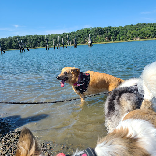 Park «Bare Cove Park», reviews and photos, Bare Cove Park Dr & Fort Hill St, Hingham, MA 02043, USA