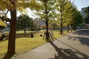 Fukuoka Central Park image