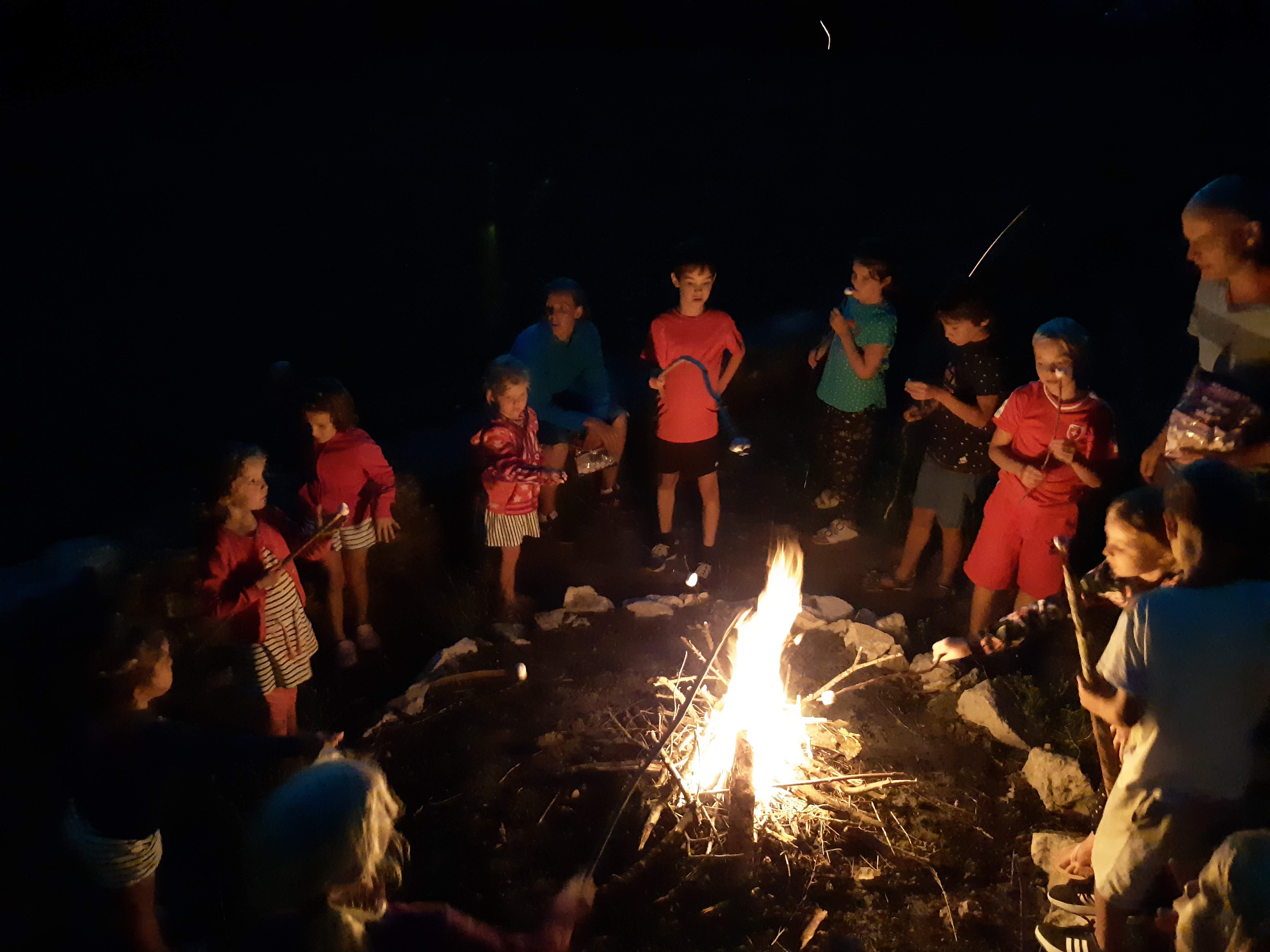 Photo n° 1 de l'avis de Bastien.o fait le 25/08/2018 à 07:59
