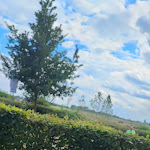 Photo n°1 de l'avis de Dj.m fait le 31/07/2022 à 18:06 sur le  Plückers Q-Stall à Wesel