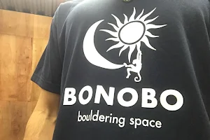BONOBO image
