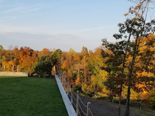 Winery «Saudé Creek Vineyards», reviews and photos, 16230 Cooks Mill Rd, Lanexa, VA 23089, USA