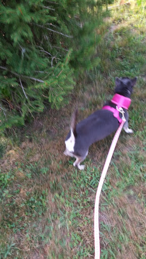 Park «Bradford Hawes Park», reviews and photos, 167 Lakehurst Ave, Weymouth, MA 02189, USA