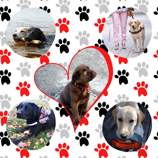 Pet Supply Store «Healthy Pet Products», reviews and photos, 3043 Washington Rd, McMurray, PA 15317, USA