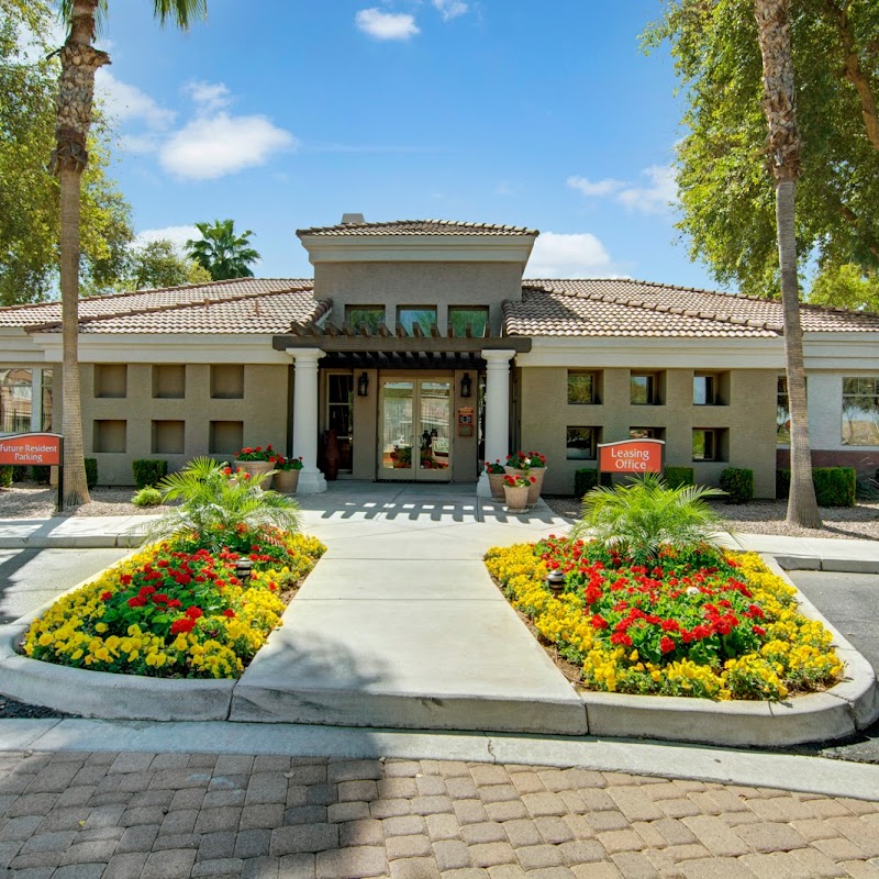 Dobson Towne Centre Apartment Homes