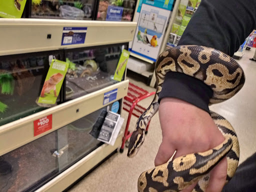 Pet Supply Store «PetSmart», reviews and photos, 1733 S Stapley Dr, Mesa, AZ 85204, USA