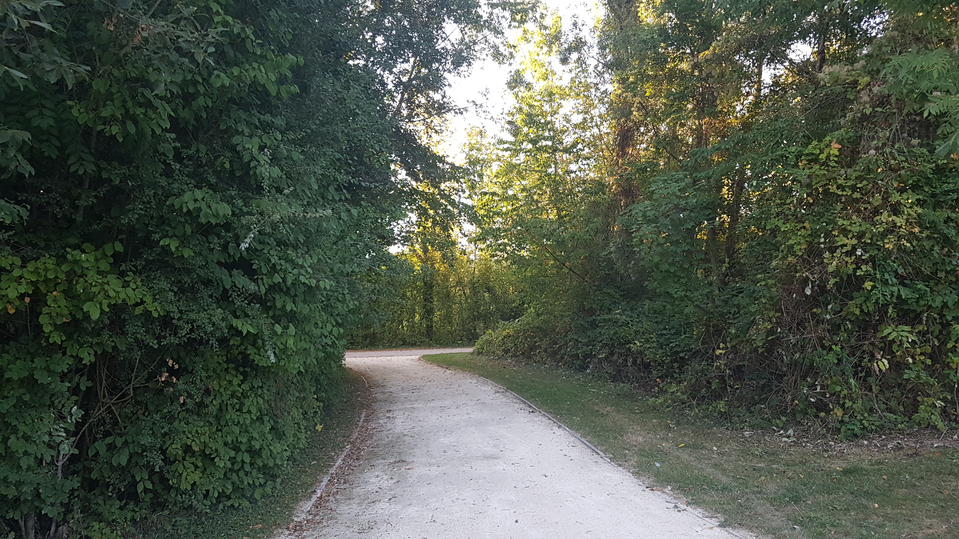 Photo n° 19 de l'avis de Sanjy.u fait le 20/09/2019 à 13:45
