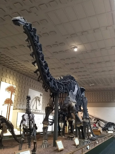 University «Yale University», reviews and photos