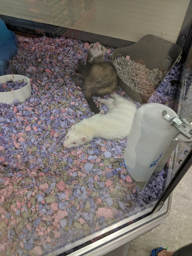 Pet Supply Store «Petco Animal Supplies», reviews and photos, 2824 Long Beach Rd, Oceanside, NY 11572, USA