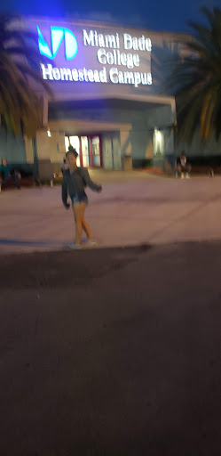 Mexican Grocery Store «Mexico Market», reviews and photos, 407 Park Pl, Homestead, FL 33030, USA