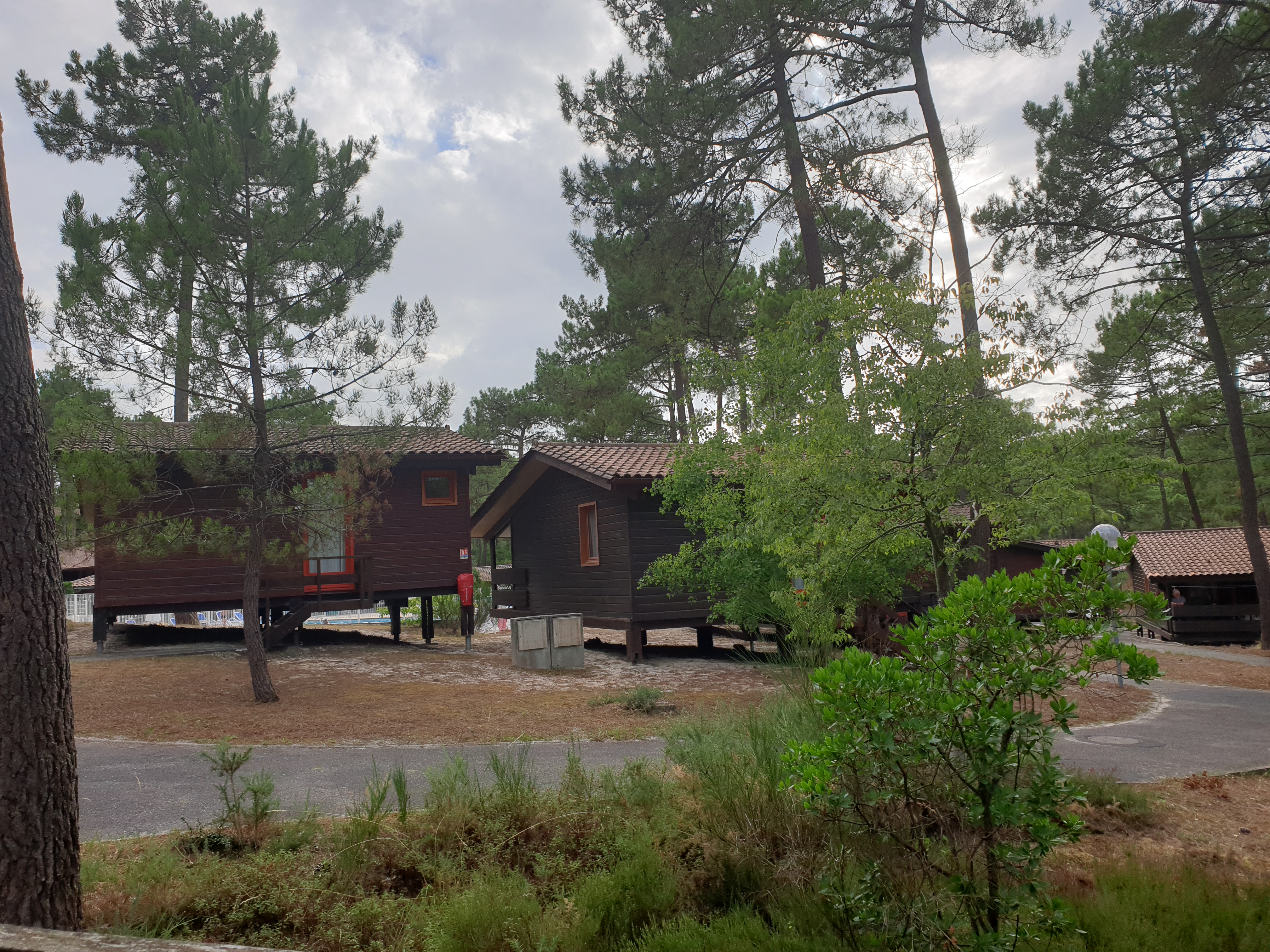 Photo n° 1 de l'avis de Marc.a fait le 22/08/2020 à 16:32