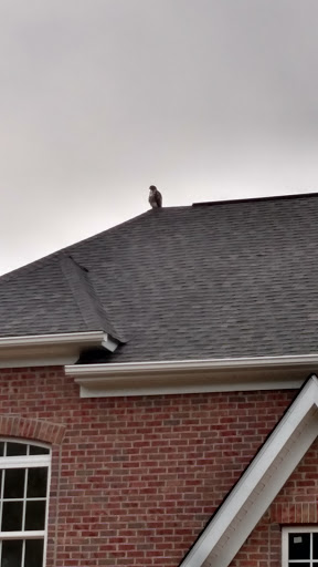 Golf Club «Winters Run Golf Course», reviews and photos, 1000 N Tollgate Rd, Bel Air, MD 21014, USA