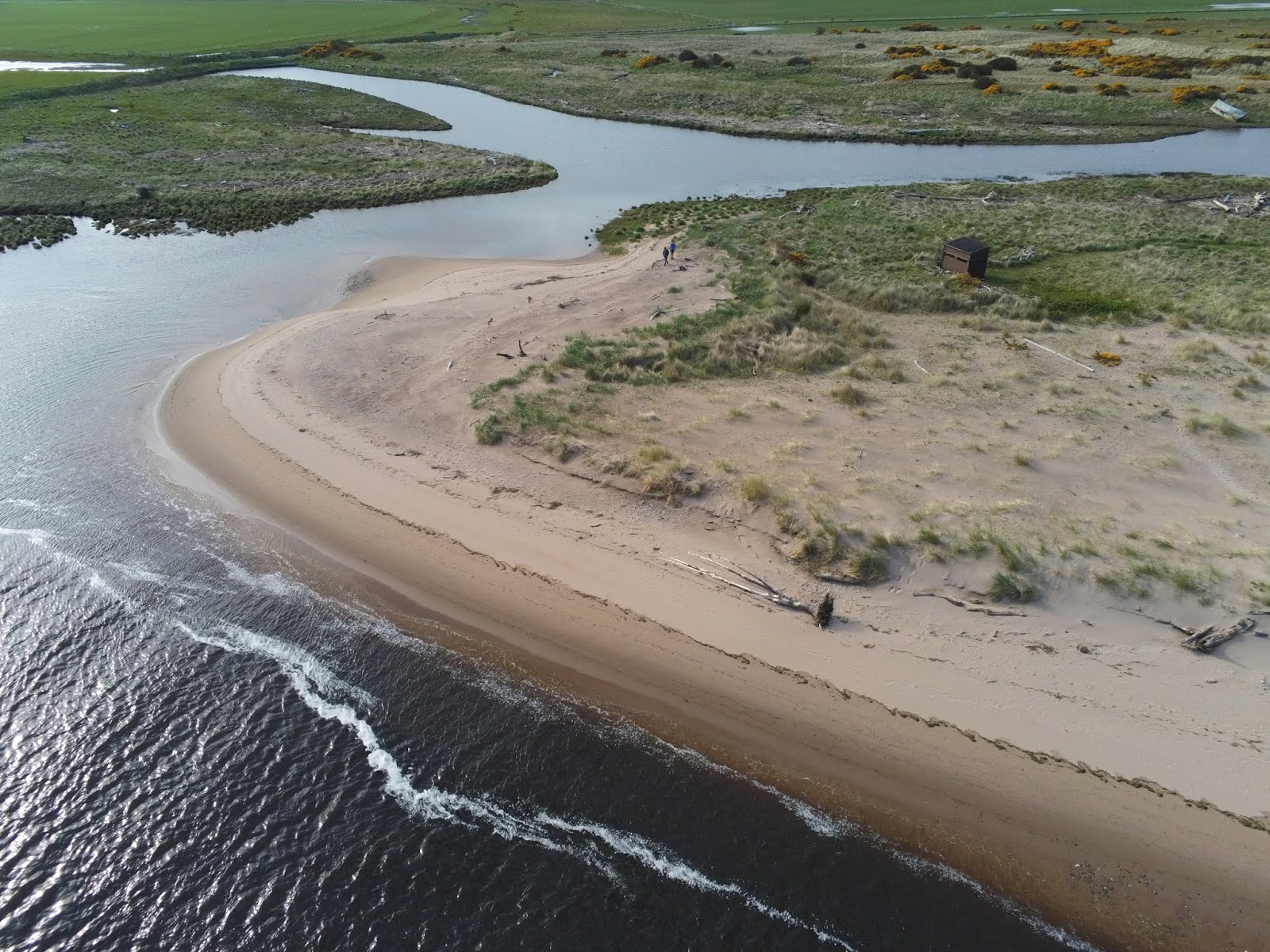 Foto van St Cyrus Beach - goede huisdiervriendelijke plek voor vakantie