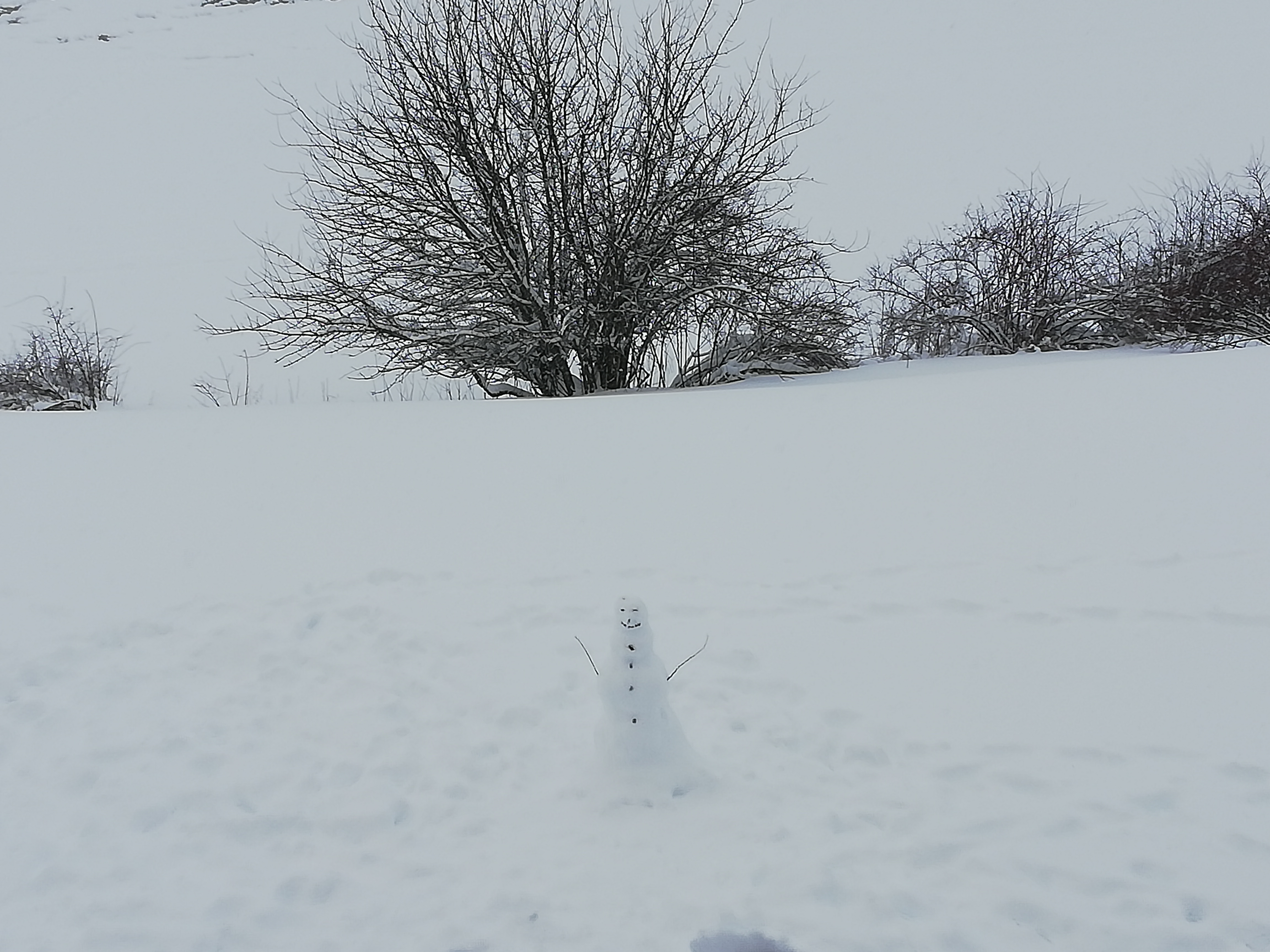 Photo n° 2 de l'avis de Aurore.A fait le 28/12/2019 à 16:43