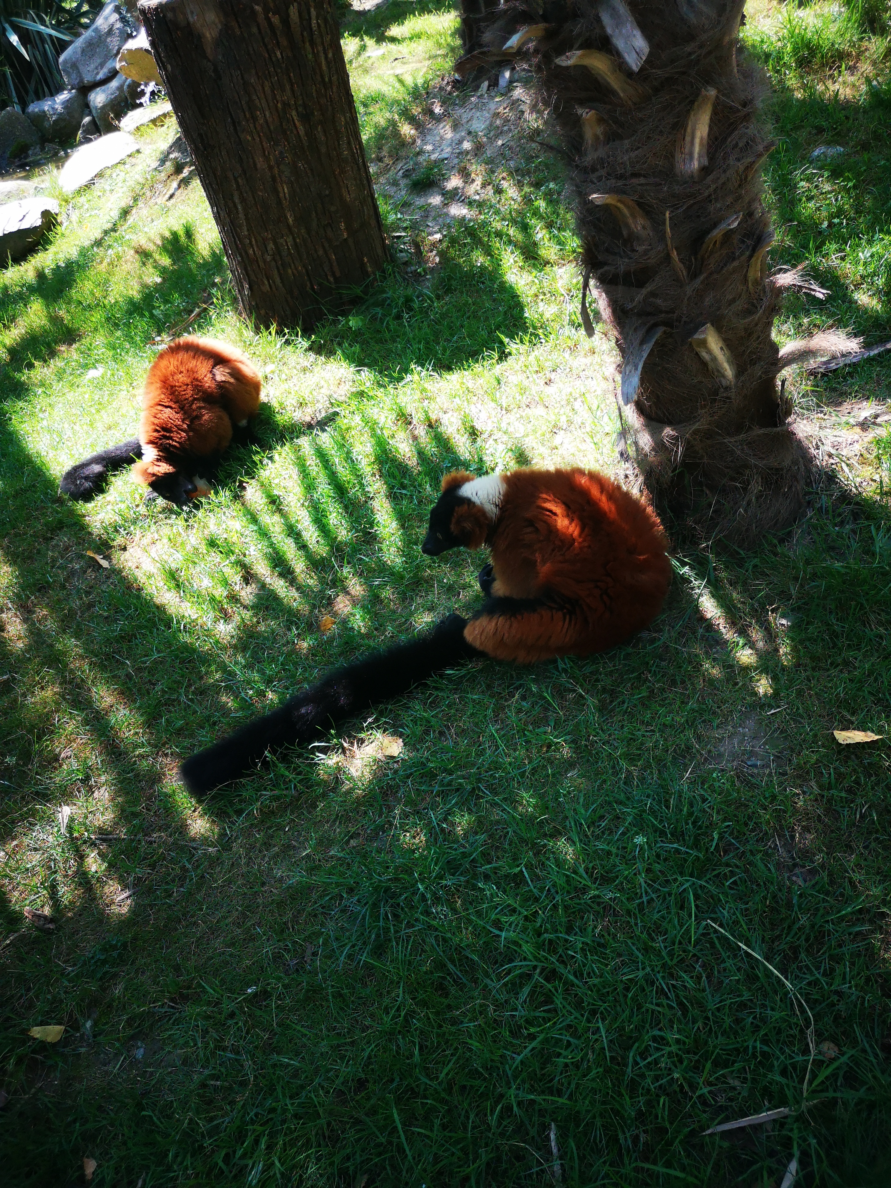 Photo n° 12 de l'avis de Léonie. fait le 26/08/2023 à 20:22