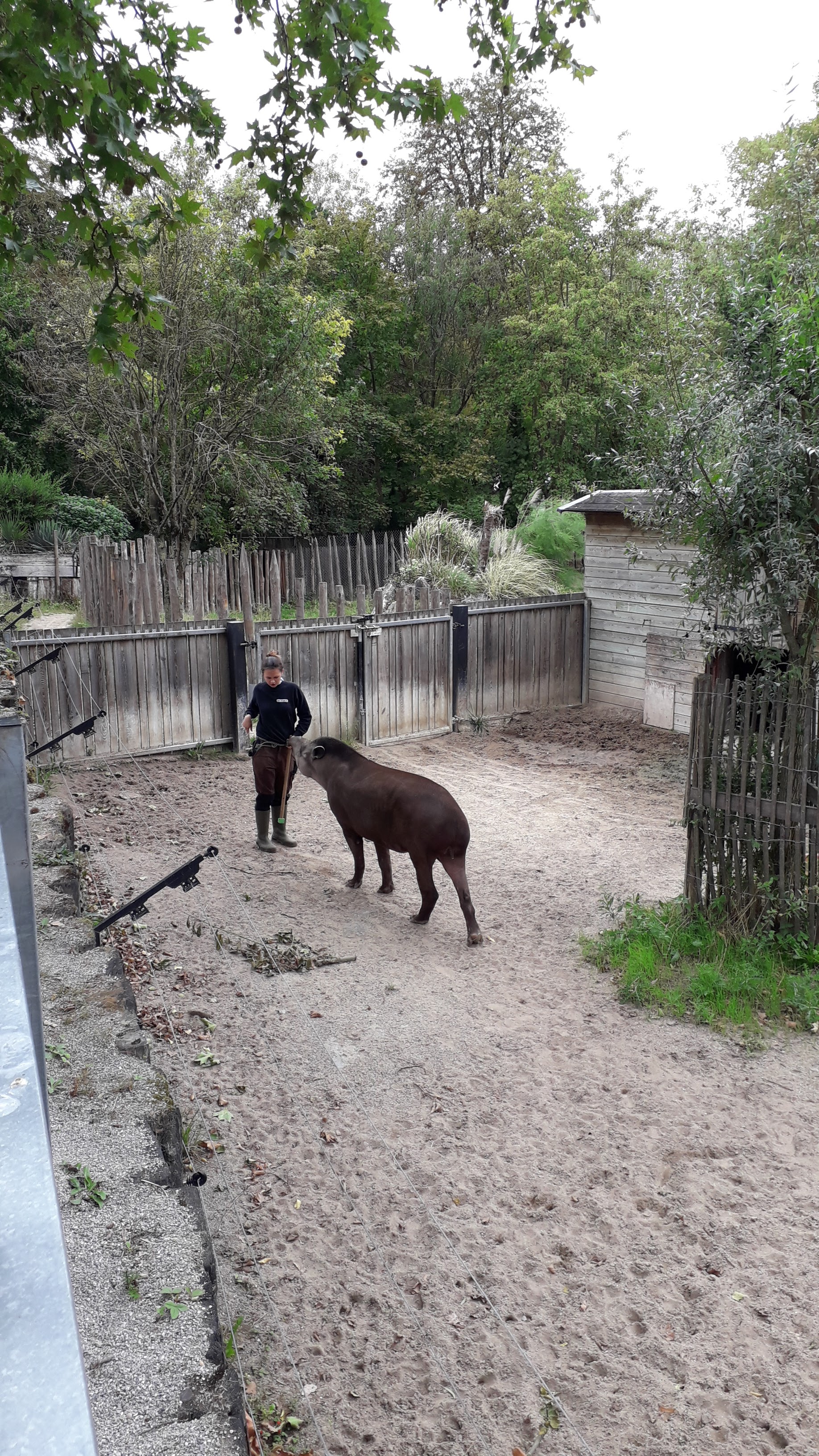 Photo n° 5 de l'avis de Catherine.C fait le 27/08/2020 à 11:42