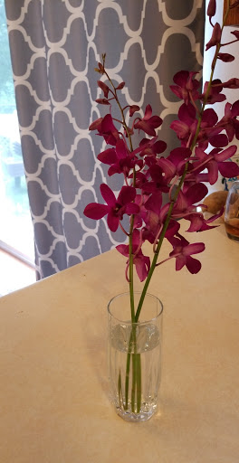 Wholesale Florist «Green Village Flowers», reviews and photos, 5457 Keystone Ct, Plainfield, IL 60586, USA