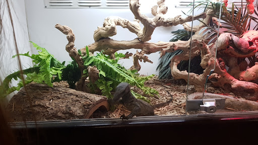 Pet Store «Pet Kingdom», reviews and photos, 3191 Sports Arena Blvd, San Diego, CA 92110, USA