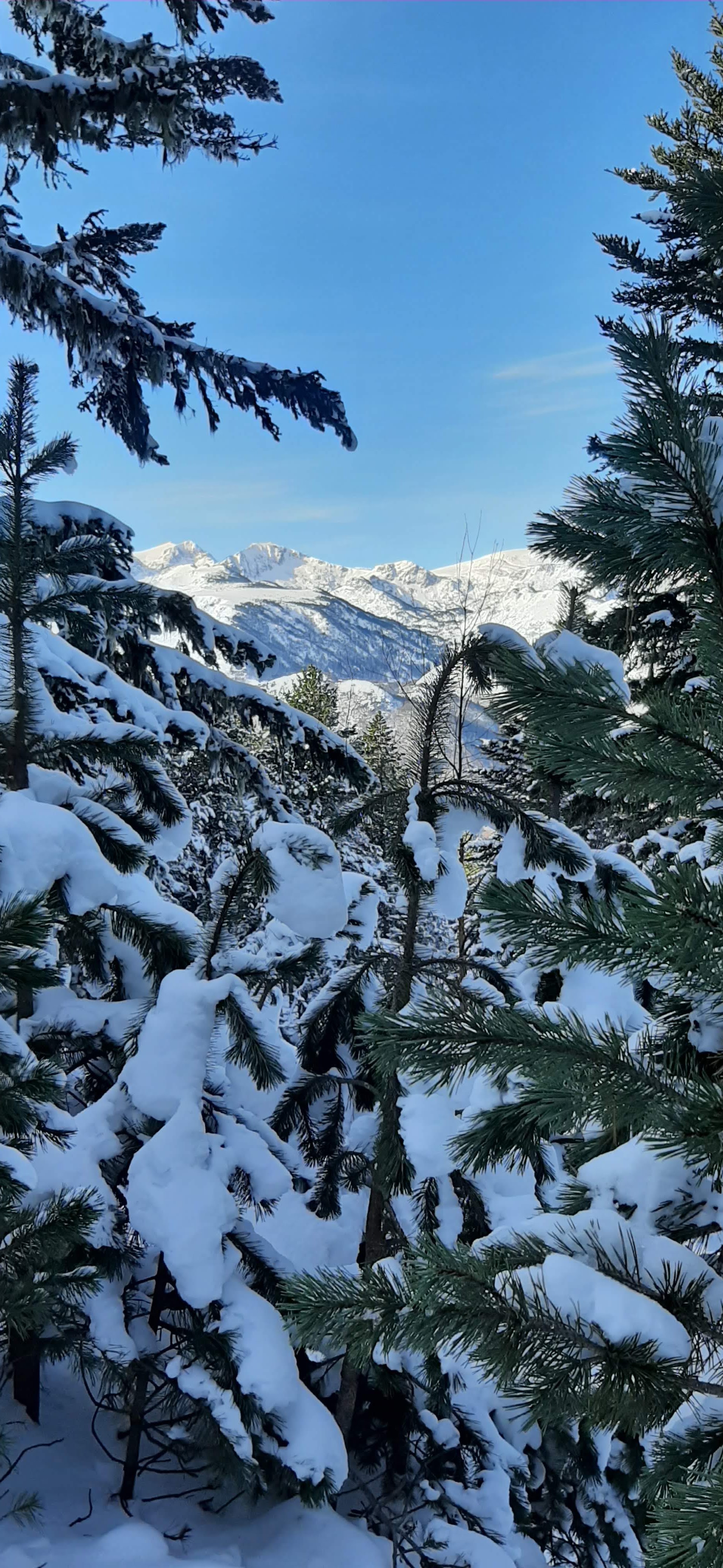 Photo n° 4 de l'avis de Françoise.E fait le 31/01/2023 à 15:48