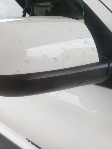 Car Wash «Quick Quack Car Wash - Spring Cypress», reviews and photos, 11921 Spring Cypress Rd, Tomball, TX 77377, USA