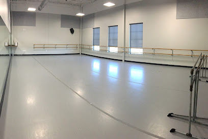 Dance Industry - Performing Arts Center