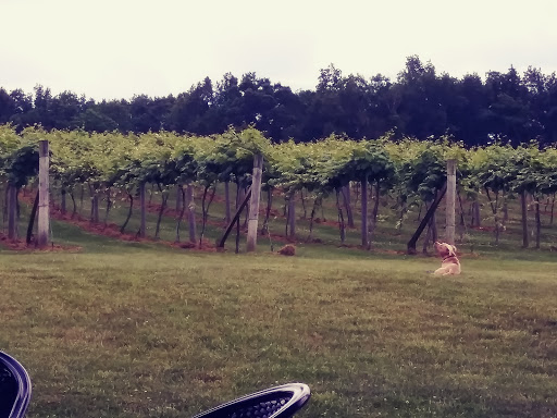 Winery «Wight Vineyards & Winery», reviews and photos, 340 Meyer Dr, Shepherdsville, KY 40165, USA