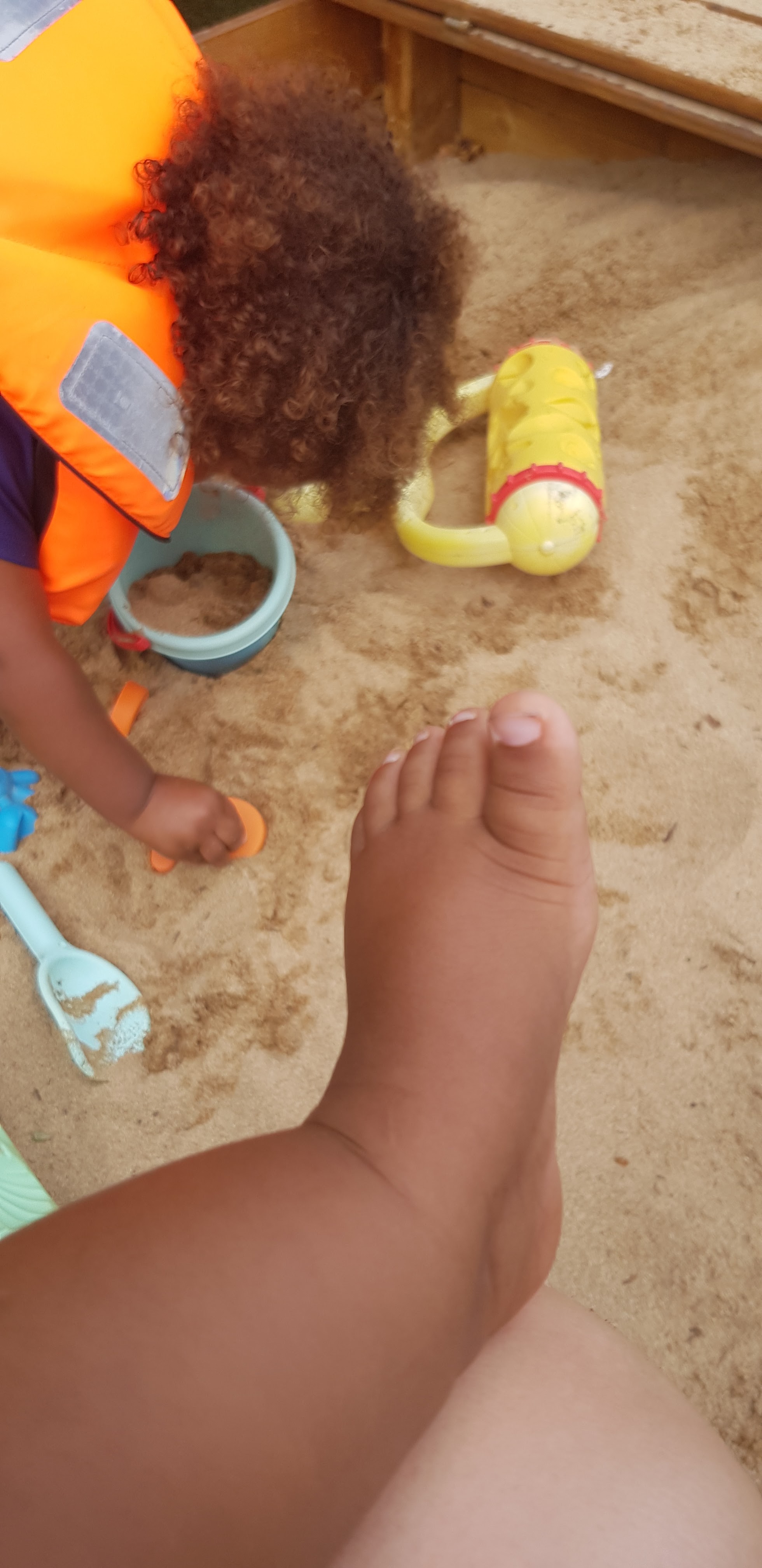 Photo n° 3 de l'avis de Pénélope. fait le 23/08/2020 à 16:09