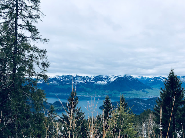 Kommentare und Rezensionen über Hotel Alpina