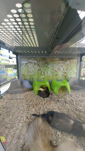 Pet Supply Store «Petco Animal Supplies», reviews and photos, 1203 SE Everett Mall Way f, Everett, WA 98208, USA